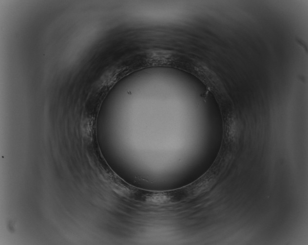 X0000101420759200807141154
