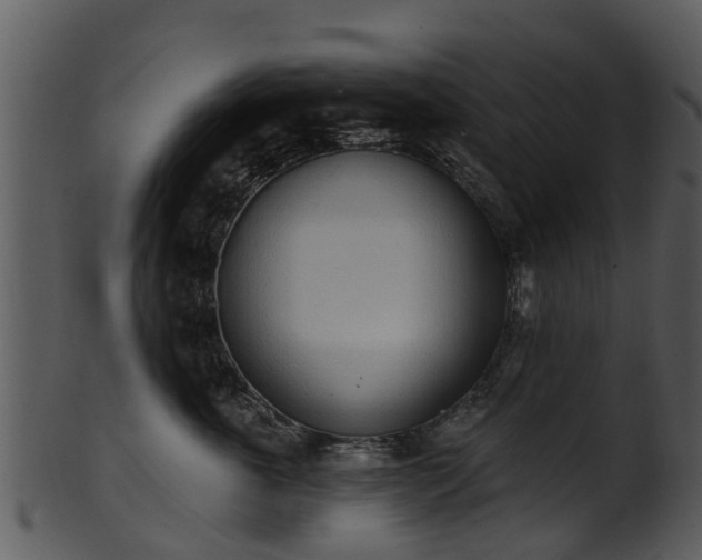 X0000101420763200807141154