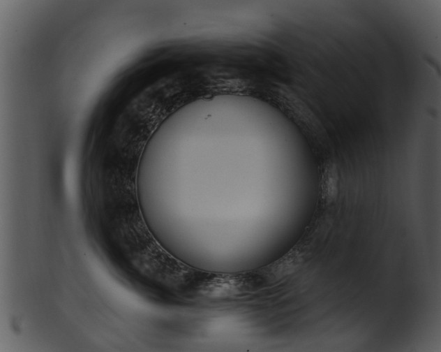 X0000101420764200807141154