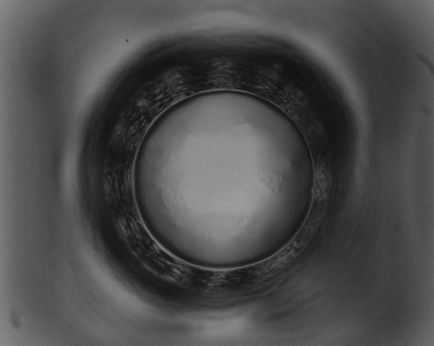 X0000101420765200807141154