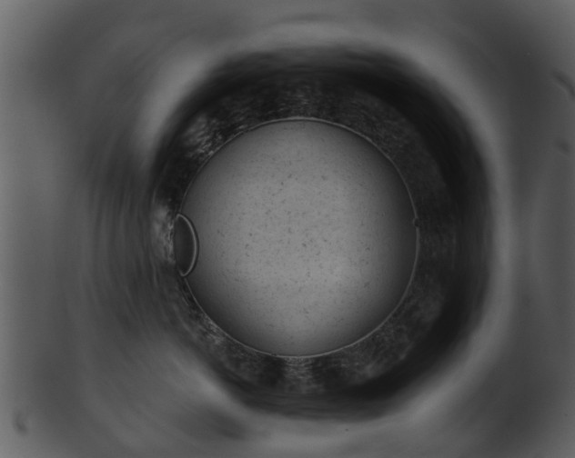 X0000101420766200807141154