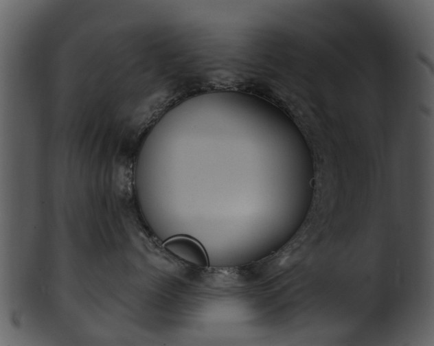 X0000101420768200807141154