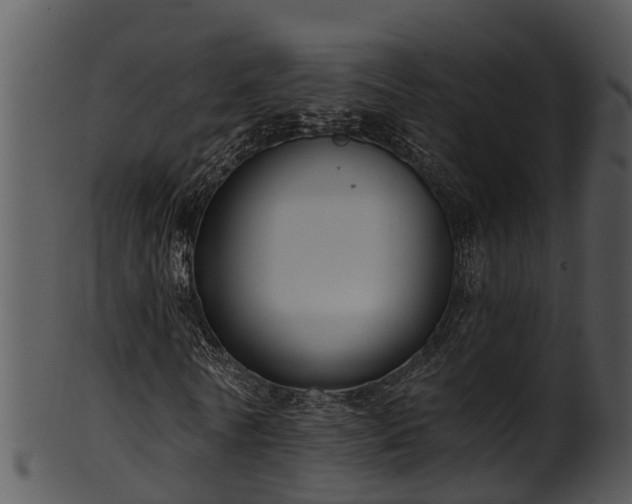 X0000101420770200807141153