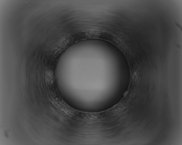 X0000101420772200807141153