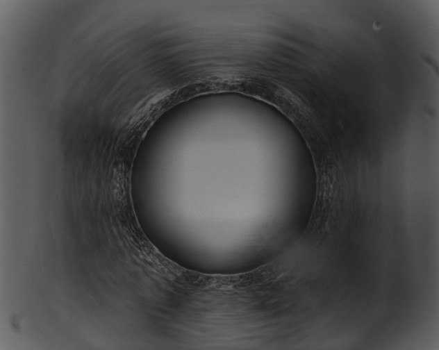 X0000101420773200807141153