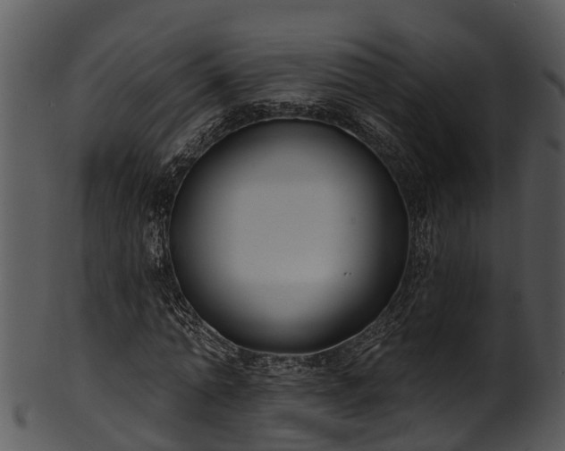 X0000101420774200807141153
