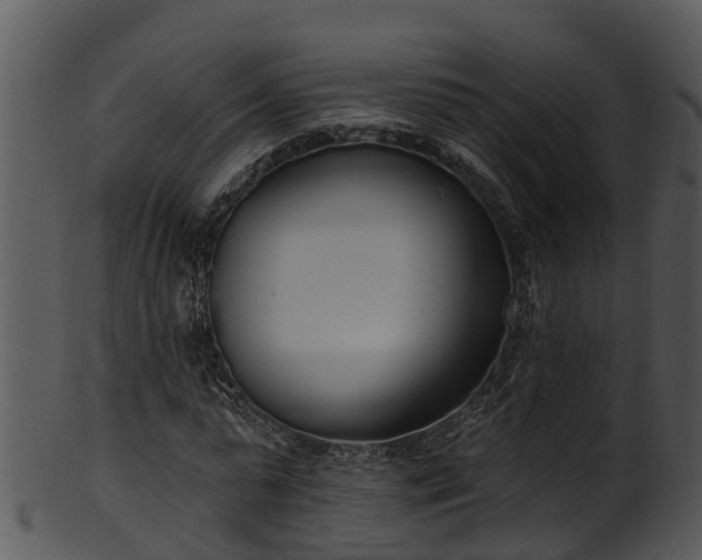 X0000101420775200807141153