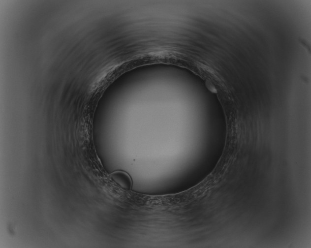 X0000101420776200807141153