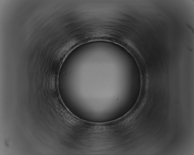 X0000101420777200807141153