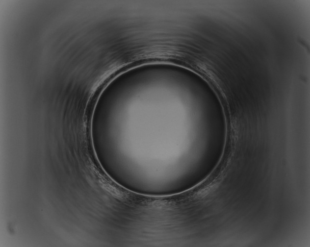 X0000101420779200807141153
