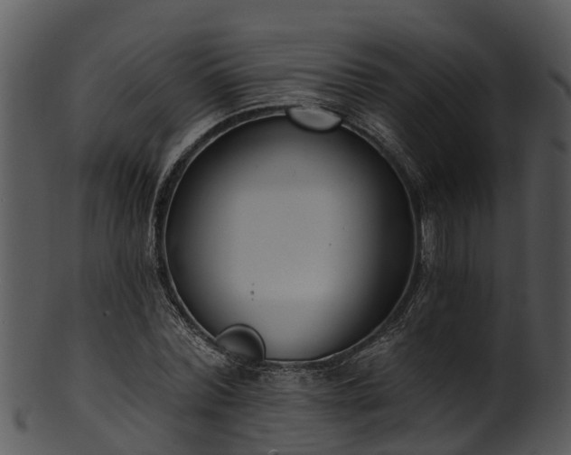 X0000101420780200807141153