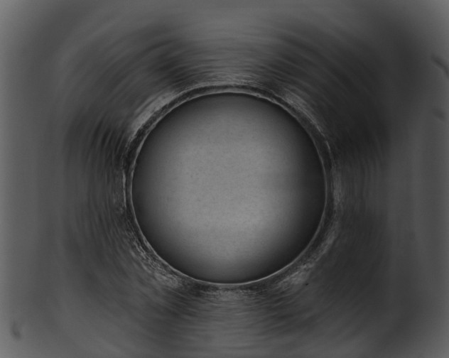 X0000101420781200807141153
