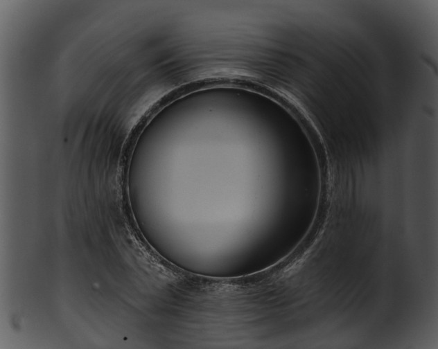 X0000101420783200807141153