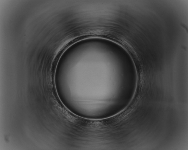 X0000101420784200807141153