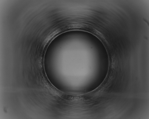 X0000101420786200807141153