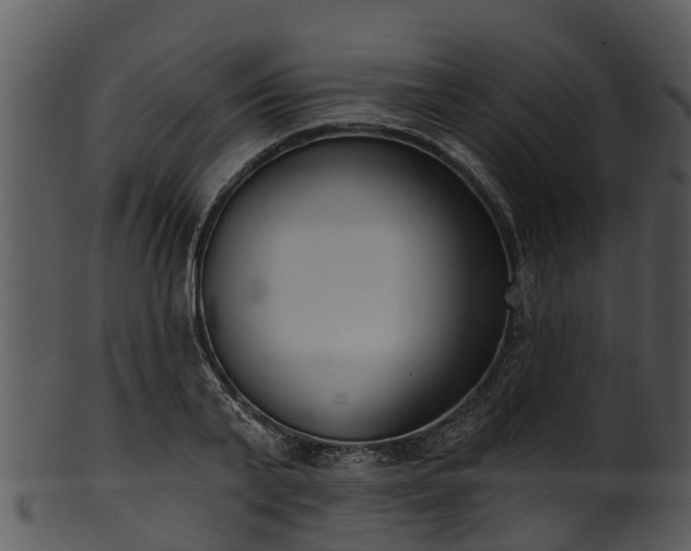 X0000101420791200807141153
