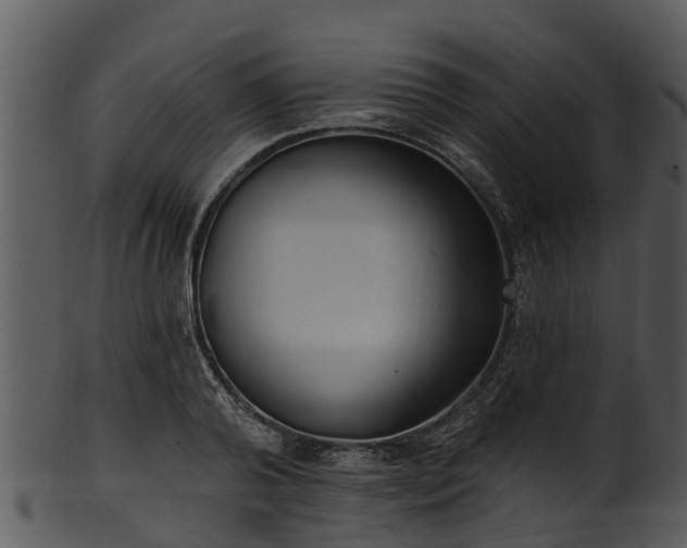 X0000101420792200807141153