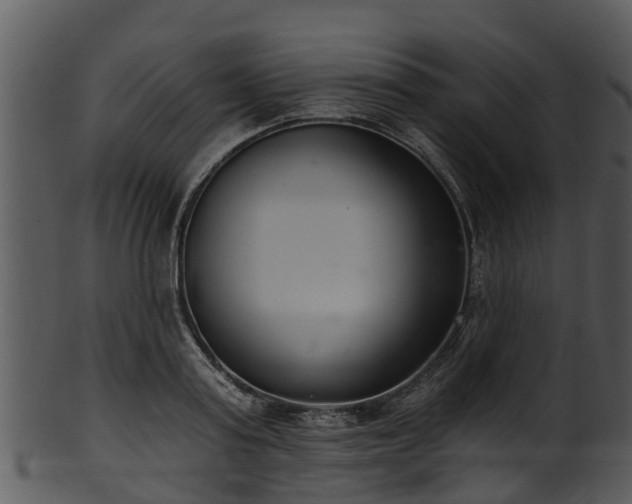 X0000101420795200807141153