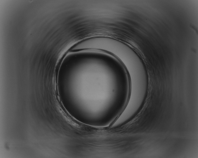 X0000101420796200807141153