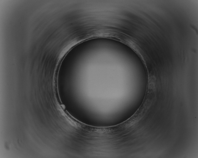 X0000101420803200807141153