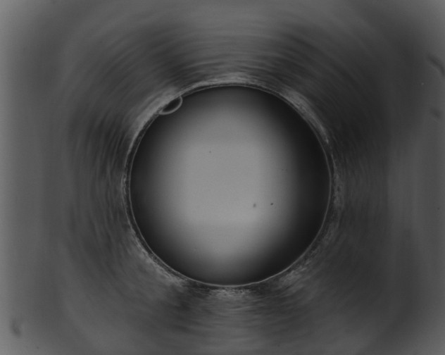 X0000101420805200807141153