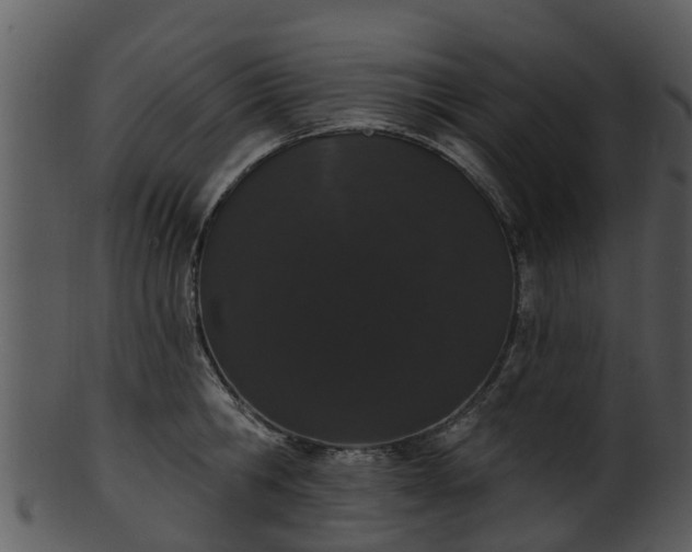 X0000101420806200807141153