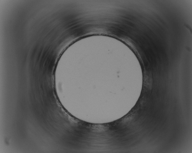 X0000101420807200807141153