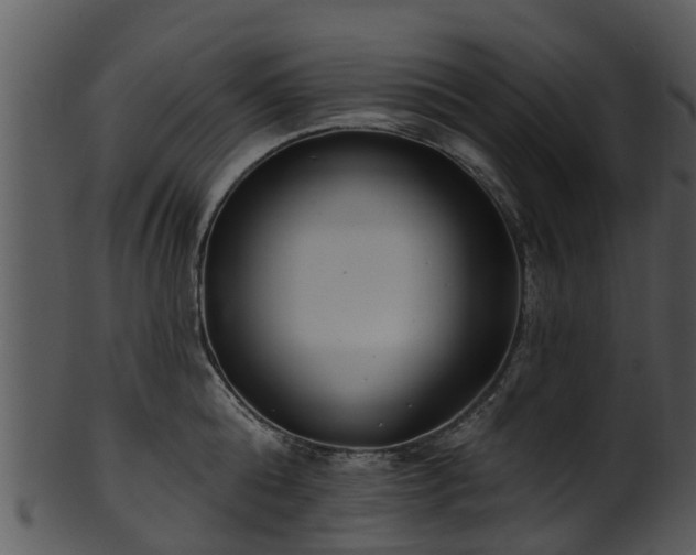 X0000101420808200807141153