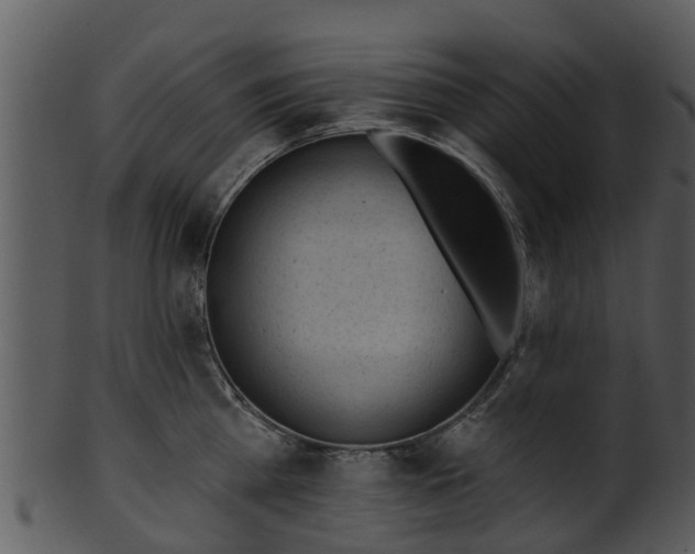 X0000101420809200807141153