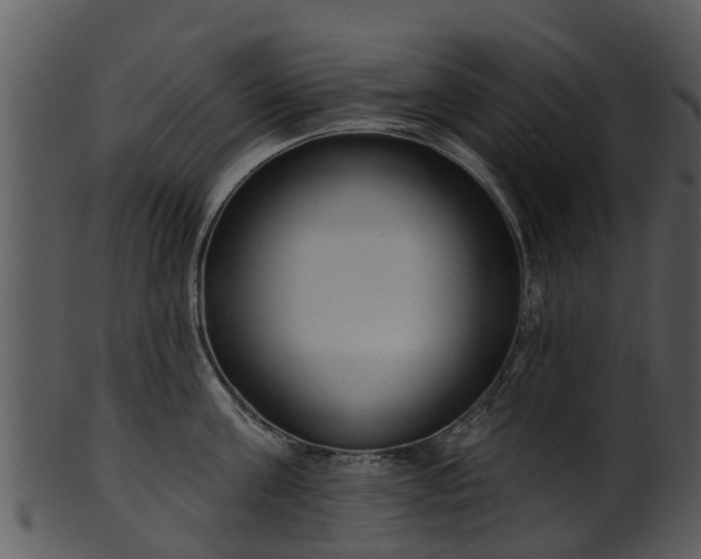 X0000101420811200807141153
