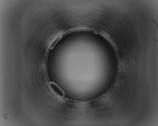 X0000101420813200807141153