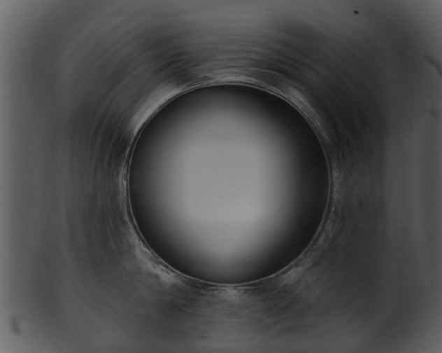 X0000101420814200807141153