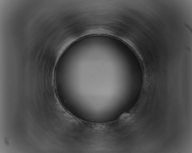 X0000101420815200807141153
