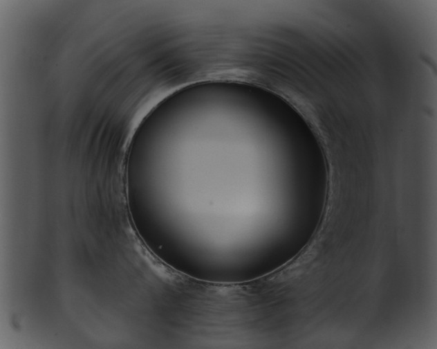 X0000101420816200807141153