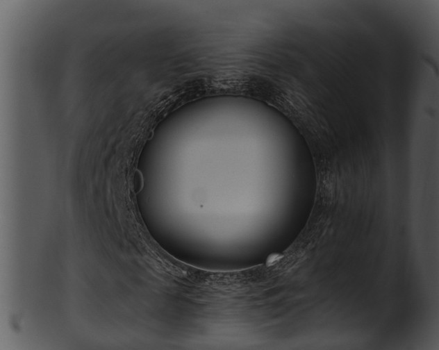 X0000101420817200807141152