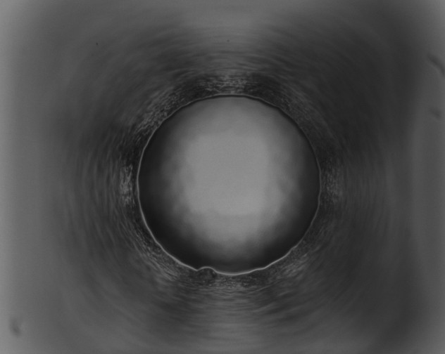 X0000101420818200807141152