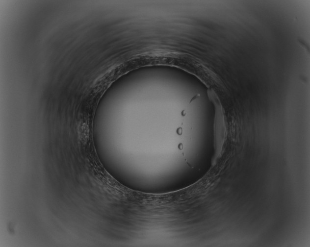 X0000101420821200807141152
