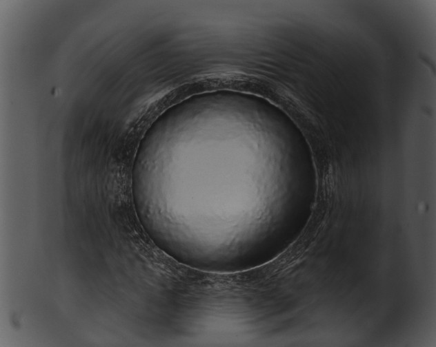 X0000101420822200807141152