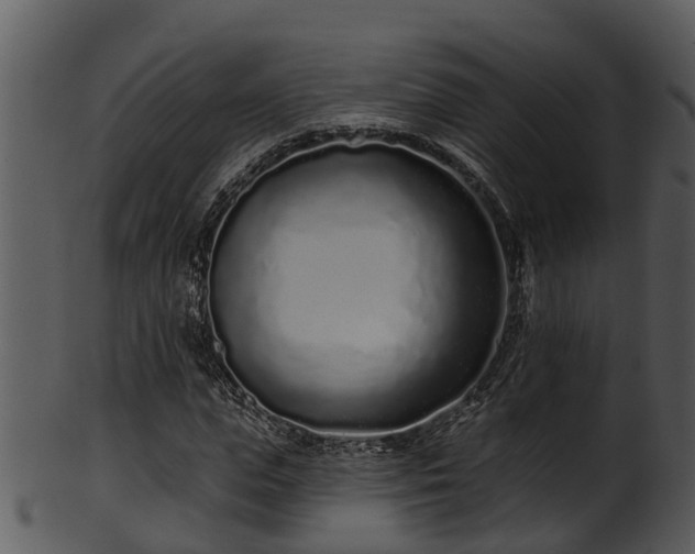 X0000101420823200807141152