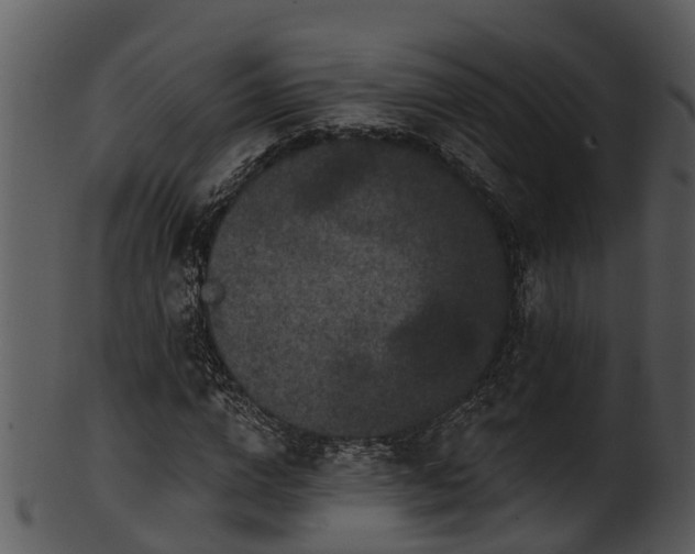 X0000101420824200807141152