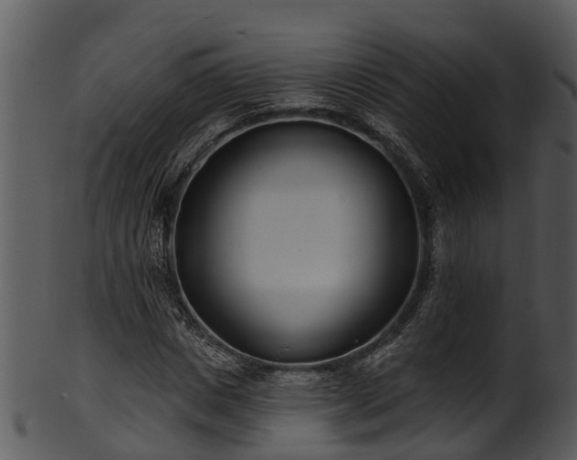 X0000101420825200807141152