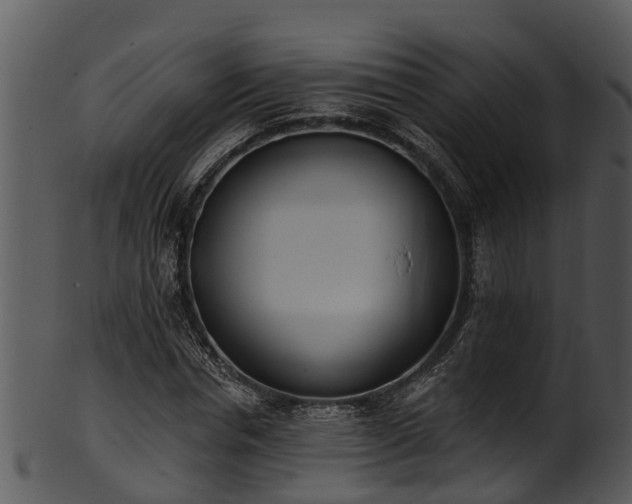 X0000101420826200807141152