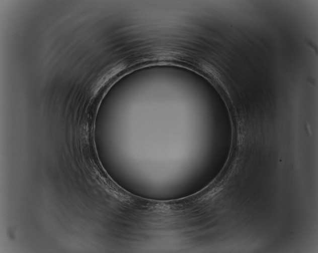 X0000101420827200807141152