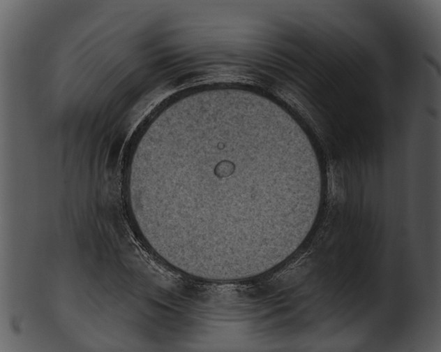 X0000101420828200807141152