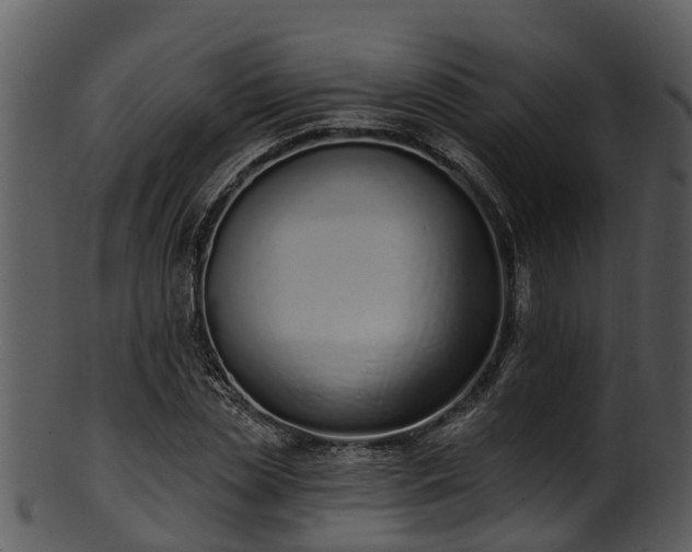 X0000101420829200807141152