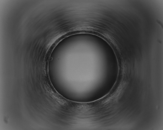 X0000101420830200807141152