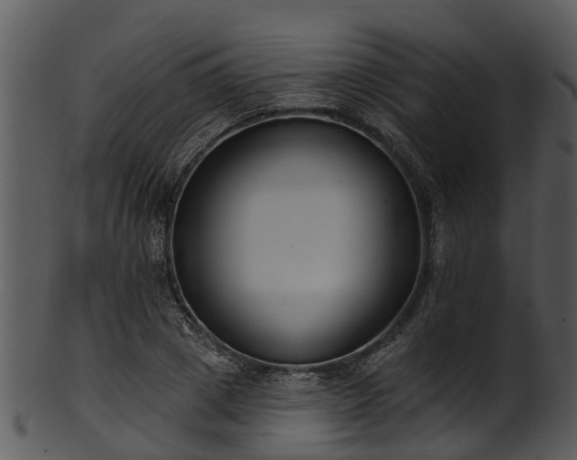 X0000101420833200807141152