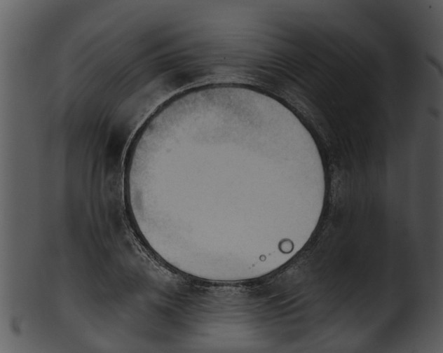 X0000101420836200807141152