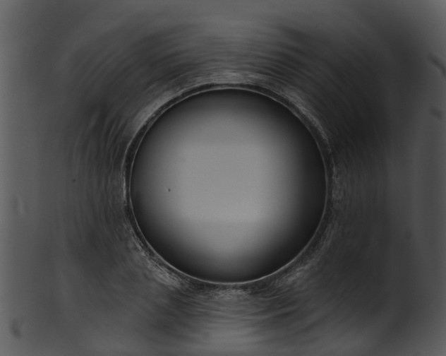 X0000101420837200807141152