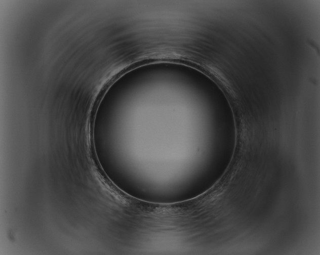 X0000101420840200807141152